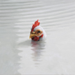 向山裕 「女湯」 2012　油彩、キャンバス　33.3×33.3cm