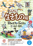 「たんけん！生きもの展」
2026.10.17（土）‐2027.1.11（月）
浜田市世界こども美術館