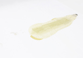 川端遥香　「Polar bear 04」　2012　刺繍糸、綿布　サイズ可変（刺繍部分 200×65cm）