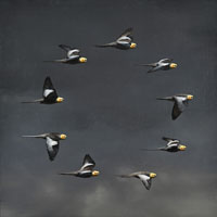 向山裕展　「鳥類・騎行」
MUKOYAMA Yutaka　"Aves, Chevauchee
"2025.5.12（月）‐5.24（土）
